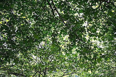 经典再出！《王国 两位君主：奥林匹斯的召唤》 全新DLC 将于今年在全平台上发布