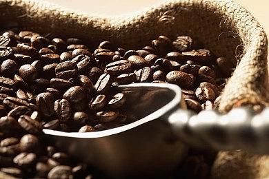 上美风格皮卡丘 宝可梦特别动画短片《但愿梦长久》公开